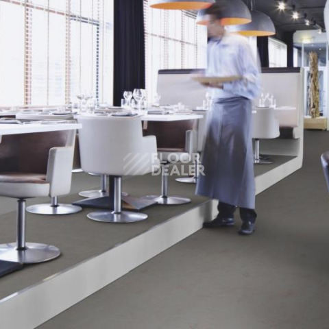 Forbo Marmoleum Decibel on Order 370335 comet фото 2 | FLOORDEALER